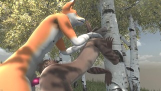 Фокси бьет рысь мальчика