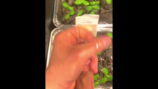 Spunking Some Sprouts (Part 1 - Pre Jerk)