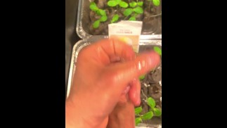 Ejakulieren auf Pflanzen
