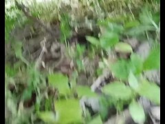 Pee outside - Screenshot 4 of 16 - Naked Outside