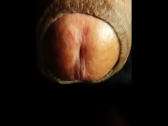 Come Suck My Dick (එන්න මගේ පයිය උරන්න)
