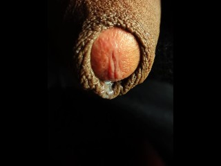 Come Suck my Dick (එන්න මගේ පයිය උරන්න)