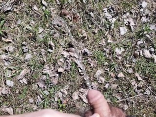 撒尿编译不停撒尿 #4