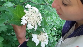 I seduced my gardener's girl, with whom we fuck in the barn so that no one sees - Lesbian_illu