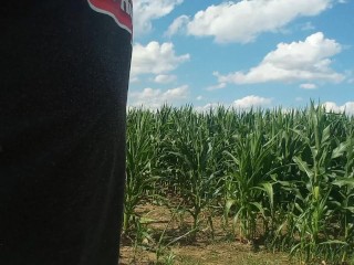 Bout to take a Piss in this Corn Field!!!🌽🌽🌽🌽🌽🌽🌽