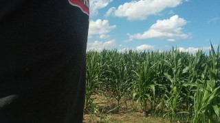 Pelea para orinar en este campo de maíz!! 🌽🌽🌽🌽🌽🌽🌽