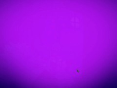 Tales of the Moon 1
