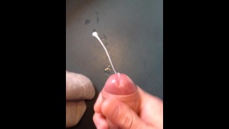 Быстрый Камшот