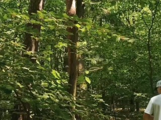 Relaxing Forest View, Filmed from a Tree