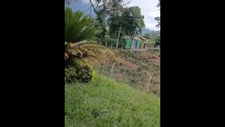 TIKTOKER Juanitarivas fucks at his grandparents' farm