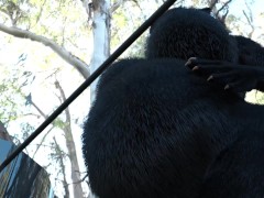 Anthro Water Filled Expansion