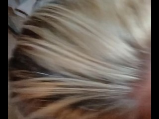 Сосание члена от первого лица