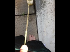 Full Bladder First Morning Pee Desperation While Both Bathrooms Were Occupied, Backyard Urinal It Is - Screenshot 6 of 16 - Outdoor Piss