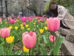 【主観動画】SMシリーズ❤︎可愛い彼女を目隠し拘束し正常位でペニスを挿入して突きまくる彼氏視点の主観動画♡ / 日本人素人変態 / 個人撮影 / 日本人 / パイパン - Screenshot 13 of 16 - Amateur