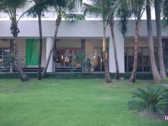 Ta petite chienne Lina Rose à Punta Cana 😍 Partie 1