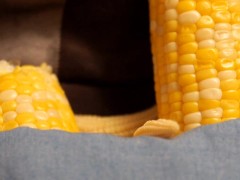 Upload720p_2024 06 05 03:00:49 - Screenshot 4 of 16 - Testing