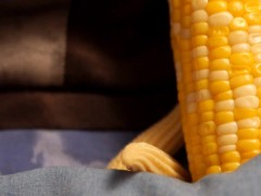 Upload720p_2024 06 05 06:43:51 - Screenshot 7 of 16 - Testing