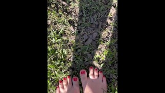 赤脚走在草地上的漂亮脚丫