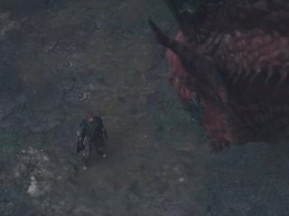 Dragons Dogma