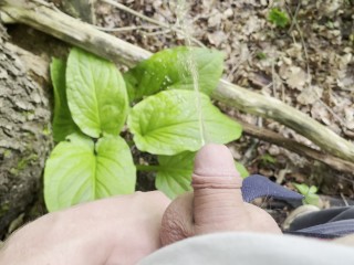 可爱的小鸡巴在树林里撒尿 [业余高清 POV]
