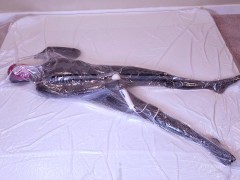 Dollified #1 - A Tiny Vacuum-Sealed Rubber Toy Getting Herself Off With A Magic Wand - Screenshot 8 of 16 - Vacuum Bed