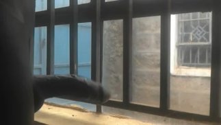 ЧУТЬ НЕ ПОЙМАЛИ ЗА ЧЕРЕЗ ОКНО