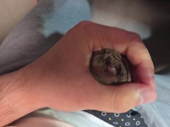 無修正の包茎チンポを4K2K高画質で撮影してみた - Screenshot 10 of 16 - Uncut Cock