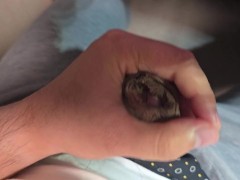 無修正の包茎チンポを4K2K高画質で撮影してみた - Screenshot 11 of 16 - 包茎