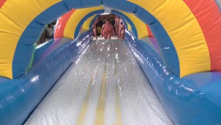 Big Butt Lady hat den Sex