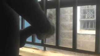 非洲少年差点被抓到透过窗户手淫