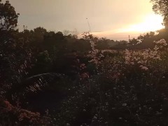 Diri taka kayaton oh Kay syada kayo Ang panglantaw