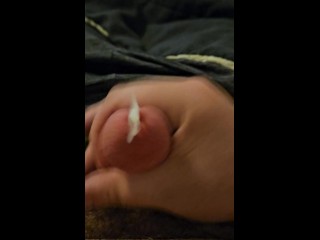 Большая нагрузка для моего Baby Pup