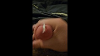我的小狗的重担