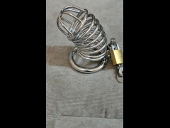 Penis cage for slave from mistress