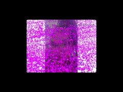 Bbw  goddess shakes her phat ass 14/16