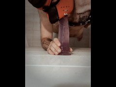 Trans FtM puppy gag on dildo
