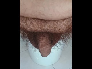 我带卡尔文先生去理发店，浪费牛奶。