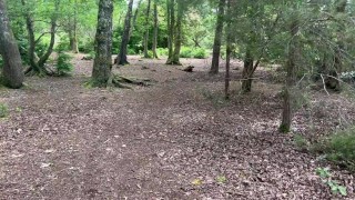 A summer walk in the woods ended up with a huge desperate wetting accident- almost got caught!