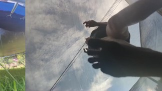 Tall girl in shorts jumping barefooted on a trampoline (slowed down) bottom view