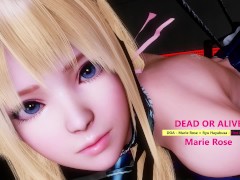 DOA - Marie Rose × Ryu Hayabusa - First Round - Lite Version