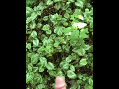 Risky Walkway Forest Piss - Screenshot 1 of 16 - Solo Male