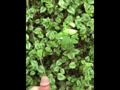 Risky Walkway Forest Piss - Screenshot 11 of 16 - Solo Male