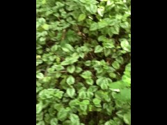 Risky Walkway Forest Piss - Screenshot 16 of 16 - Solo Male