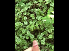 Risky Walkway Forest Piss - Screenshot 2 of 16 - Male Public Piss