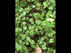 Risky Walkway Forest Piss - Screenshot 4 of 16 - Pee