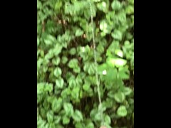 Risky Walkway Forest Piss - Screenshot 7 of 16 - Male Public Piss