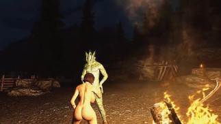 Just playing with angles without No Clip. Sex with argonian