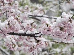 Nagbakasyon si Tito!