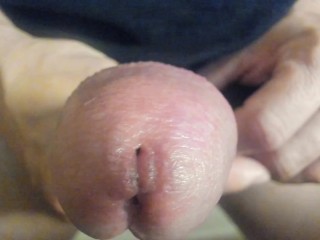 Close Cock Encounter