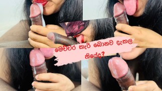 Sri lankan beautiful Nathasha doing sloppy blowjob